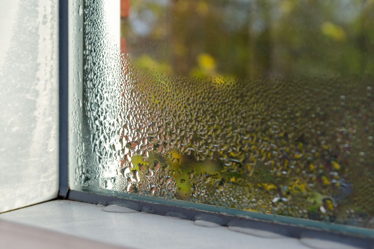 Window condensation in home.