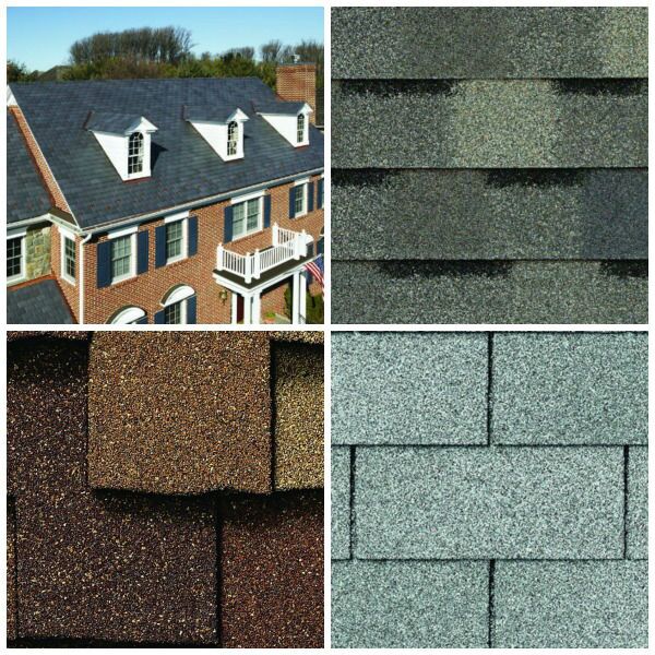 Shingles and the whole roof system